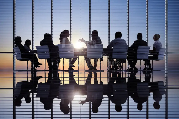 COMPANY MANAGEMENT
